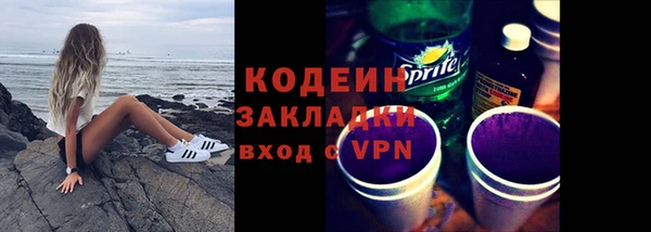 шишки Переславль-Залесский