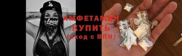 шишки Переславль-Залесский