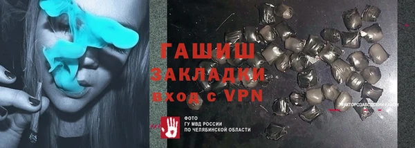шишки Переславль-Залесский